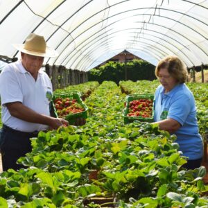 Sitio São José (3) Sitio São José (3)