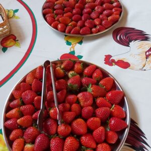 Sitio São José (8) Sitio São José (8)